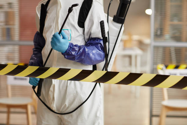 Professional Sewage Cleanup technician working in Natural Dam, AR